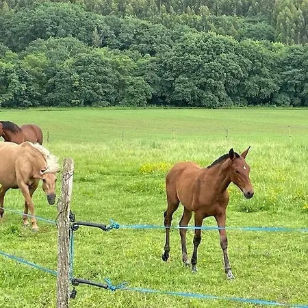 A Casa Do Souto, Santiago De Compostela * 시게이로
