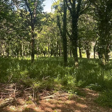 A Casa Do Souto, Santiago De Compostela 시게이로
