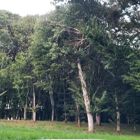 A Casa Do Souto, Santiago De Compostela 펜션 시게이로