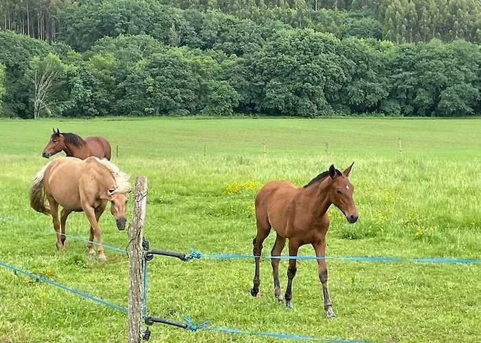A Casa Do Souto, Santiago De Compostela * シグエイロ