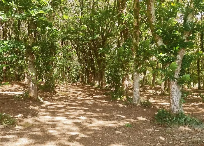 A Casa Do Souto, Santiago De Compostela 別荘 シグエイロ