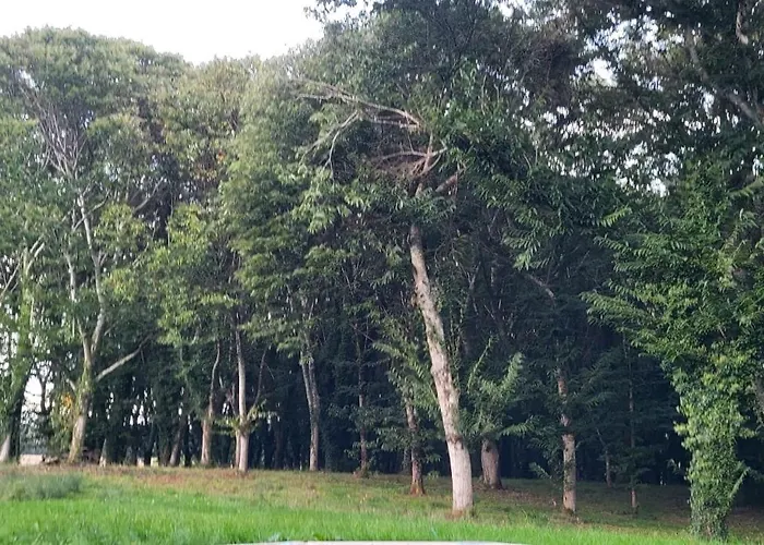 A Casa Do Souto, Santiago De Compostela 別荘 シグエイロ